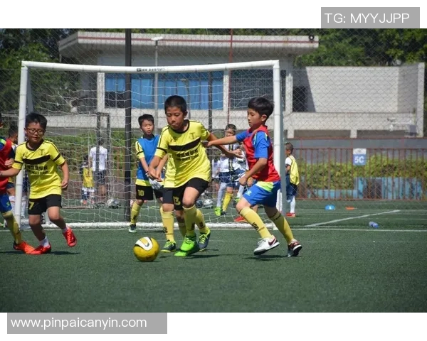 校园足球明星专访视频揭示他们的成长故事与梦想追求